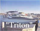 Triton.jpg (30116 bytes)