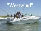 Westwind.JPG (52285 bytes)